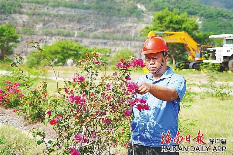 1717063485972696.jpg 米乐官网-米乐官网_米乐(中国)
这座矿山,为何这么绿?4.jpg