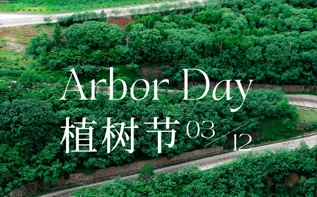 植树节 | 米乐官网-米乐官网_米乐（中国）
米乐官网-米乐官网_米乐（中国）的绿色画卷